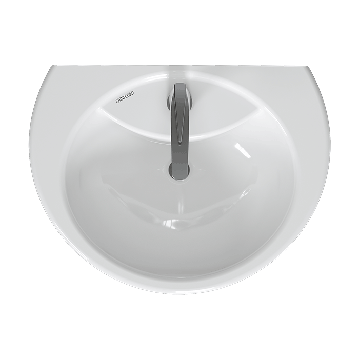 Daisy - Image 4