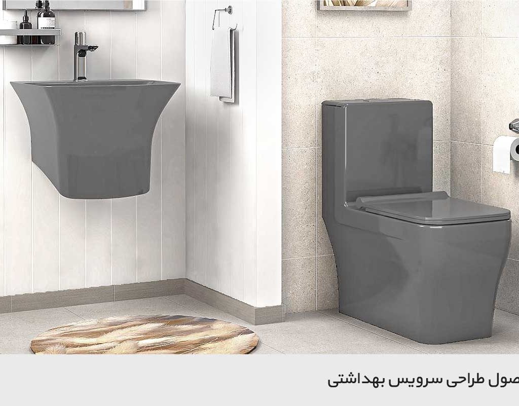 اصول طراحی سرویس بهداشتی